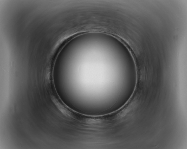 X0000088131499200705211105