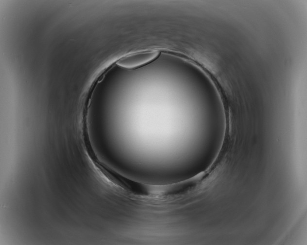 X0000088131500200705211105