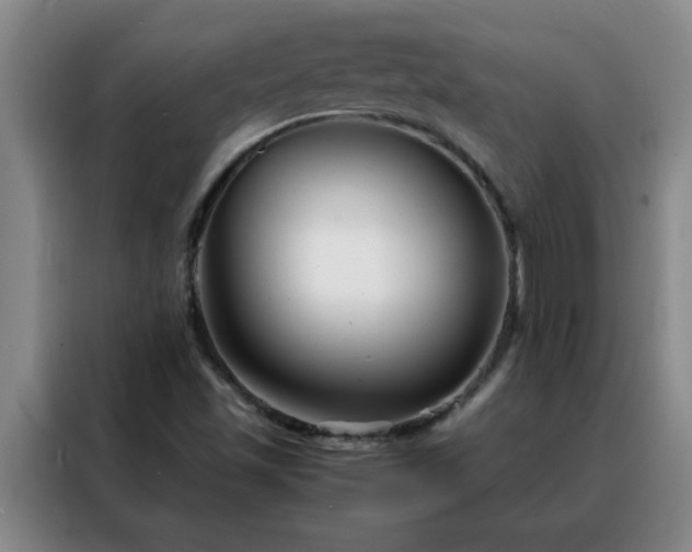 X0000088131501200705211105
