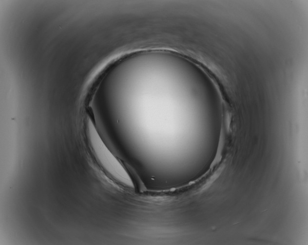 X0000088131502200705211105