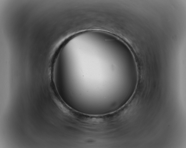 X0000088131503200705211105