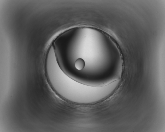 X0000088131504200705211105