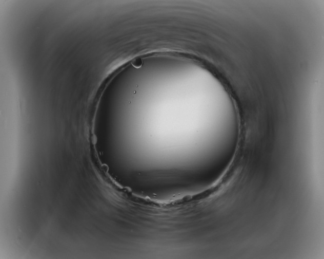 X0000088131505200705211105