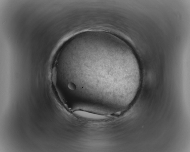 X0000088131506200705211105