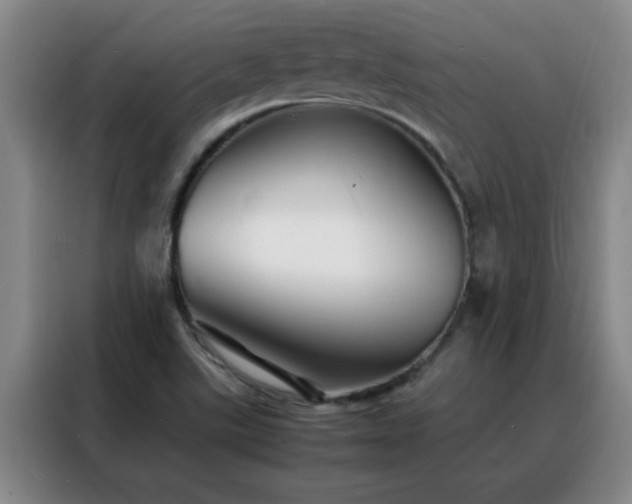 X0000088131507200705211105