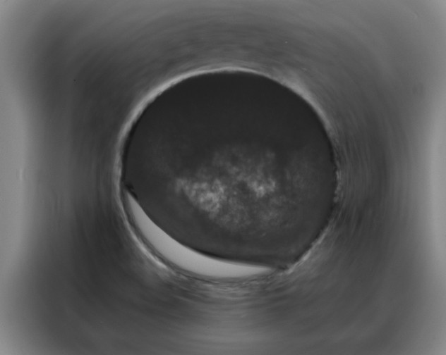 X0000088131508200705211105