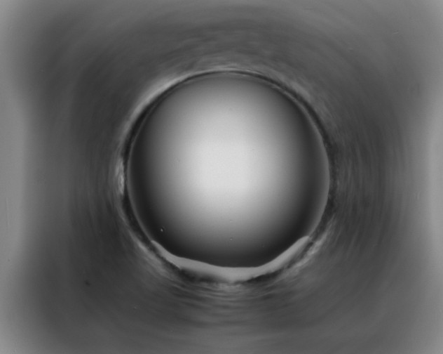 X0000088131509200705211105