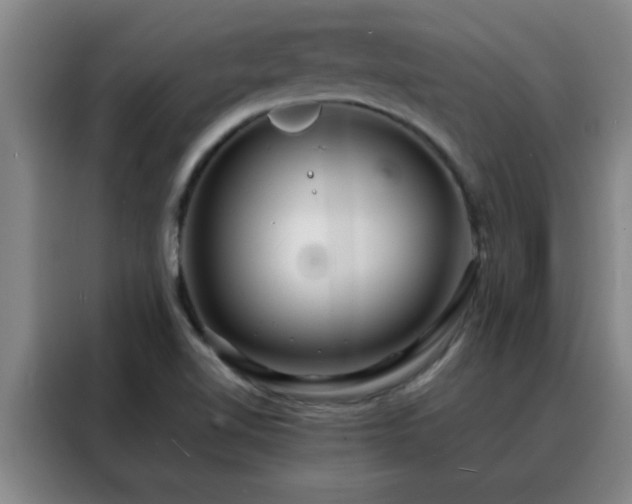 X0000088131510200705211105