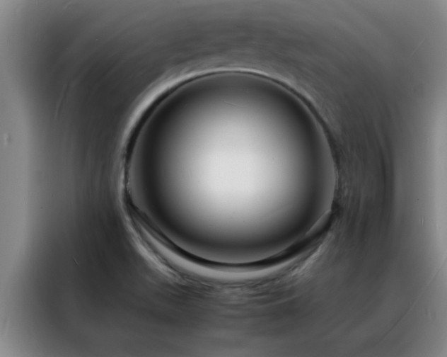 X0000088131511200705211105