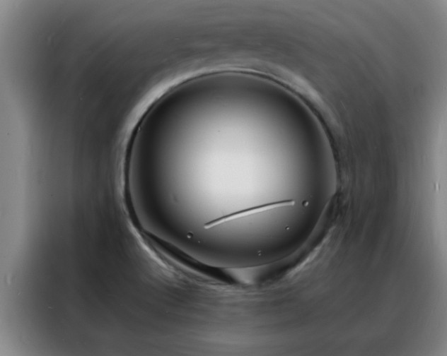 X0000088131512200705211105