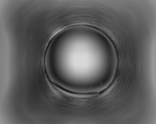 X0000088131513200705211105