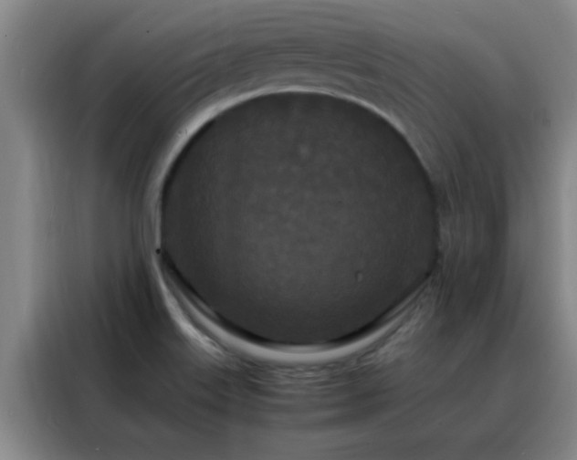 X0000088131515200705211105