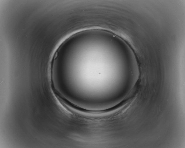 X0000088131516200705211105