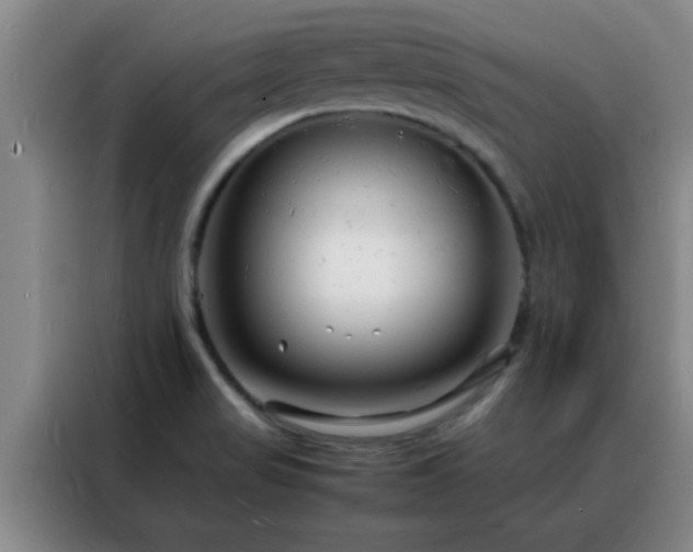 X0000088131517200705211105