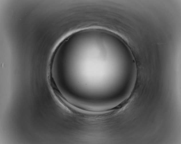 X0000088131518200705211105