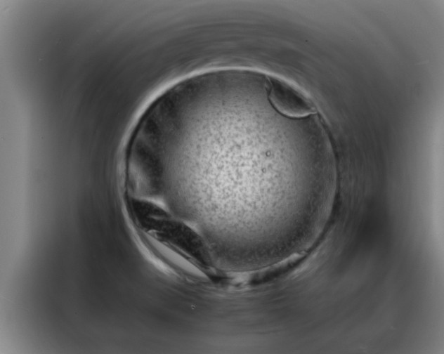 X0000088131519200705211105