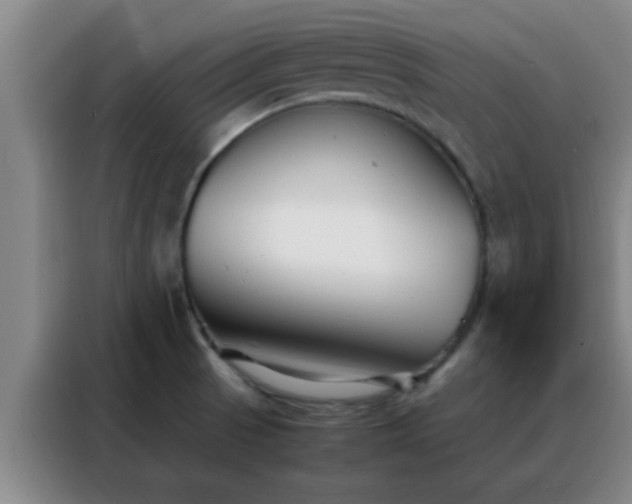 X0000088131521200705211105