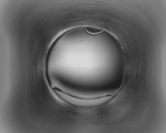 X0000088131523200705211105