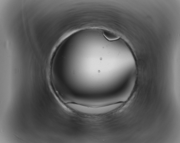 X0000088131525200705211105