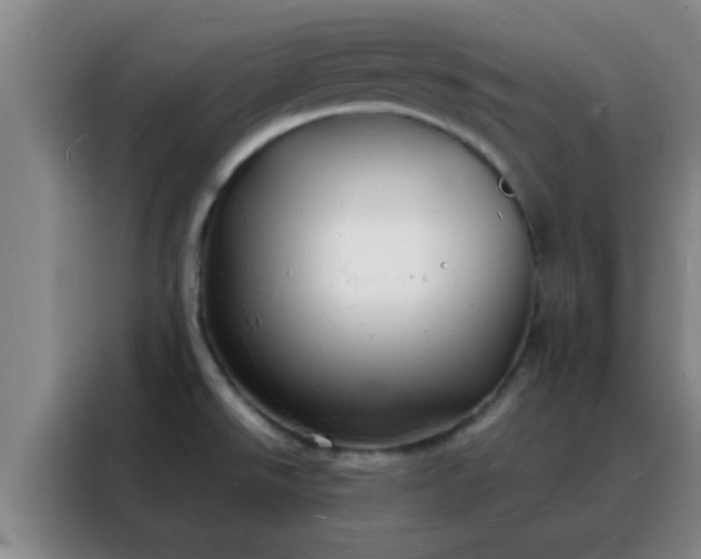 X0000088131526200705211105