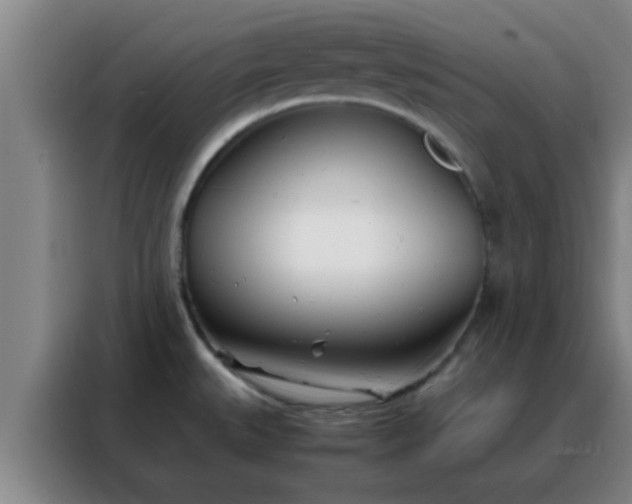 X0000088131527200705211105