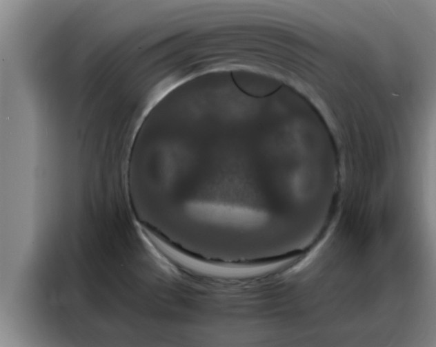 X0000088131529200705211105