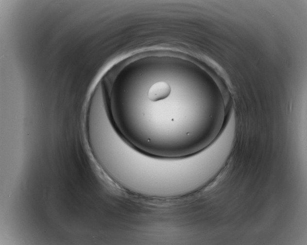 X0000088131530200705211105