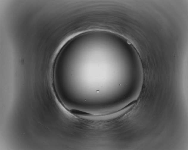 X0000088131531200705211105