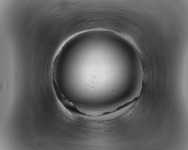 X0000088131532200705211105