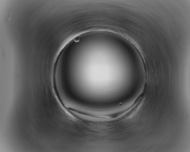 X0000088131533200705211105
