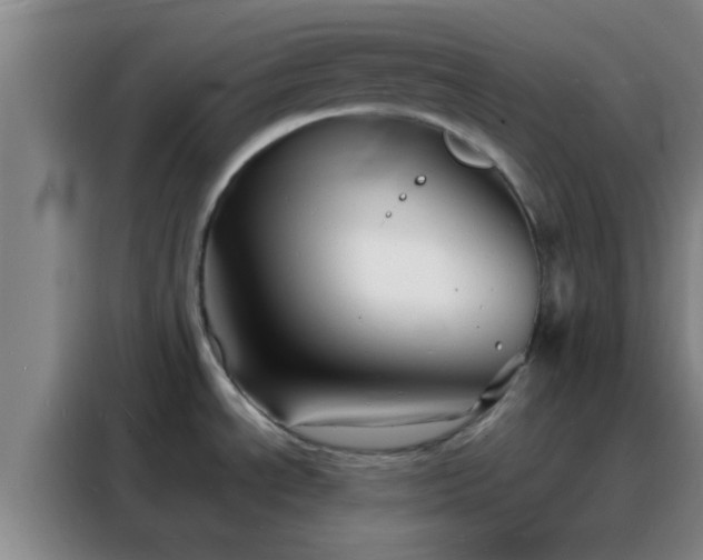 X0000088131534200705211105