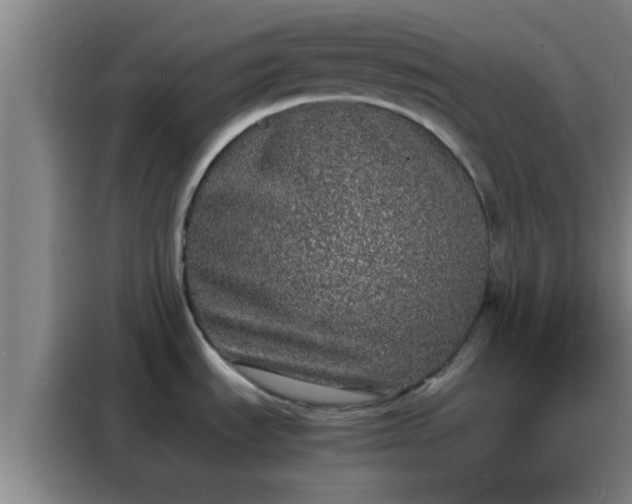 X0000088131535200705211105