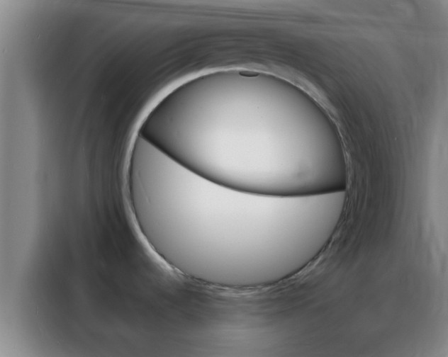 X0000088131536200705211105