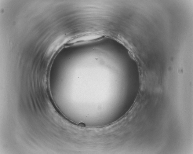 X0000088130002200705291344