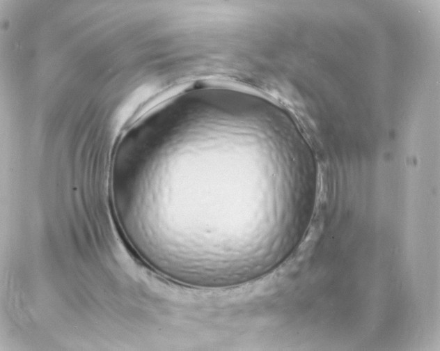 X0000088130003200705291344