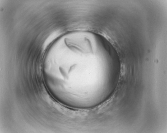 X0000088130004200705291344