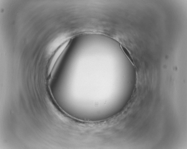 X0000088130005200705291344