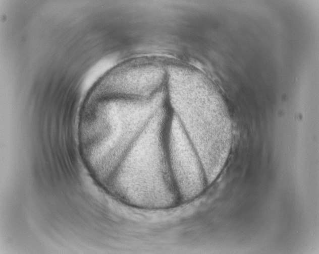 X0000088130006200705291344