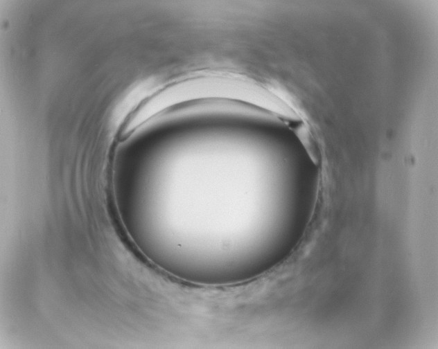 X0000088130007200705291344