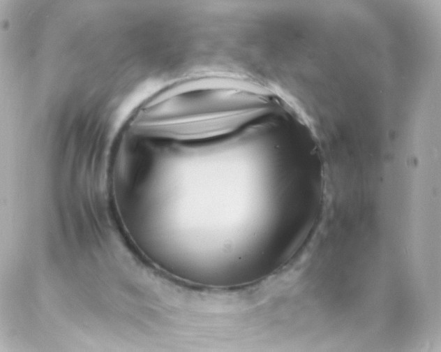 X0000088130008200705291344