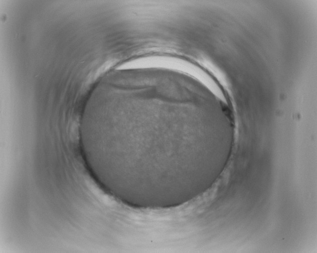 X0000088130009200705291344