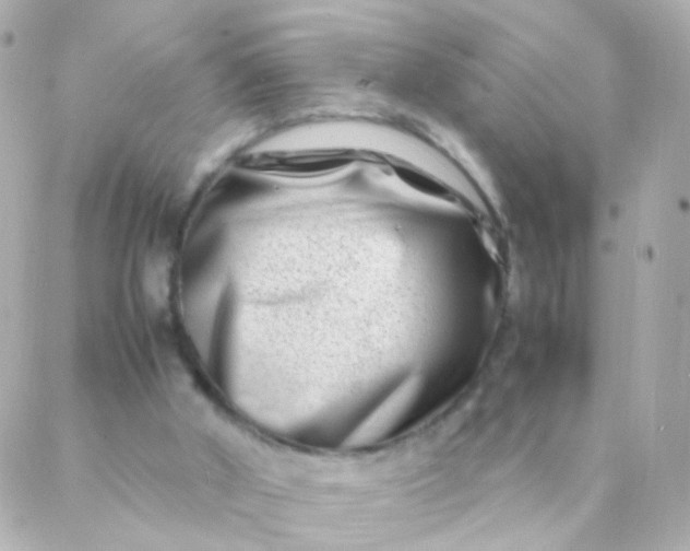 X0000088130010200705291344