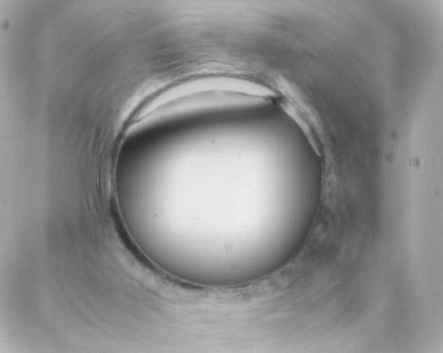 X0000088130011200705291344