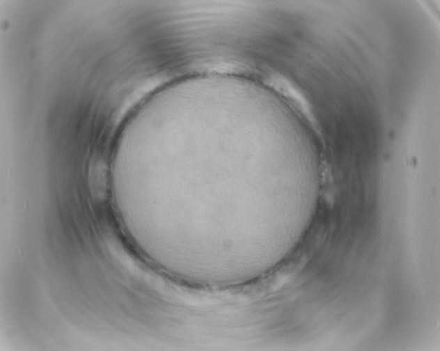 X0000088130012200705291344