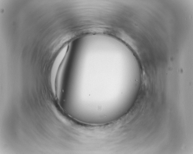 X0000088130013200705291344