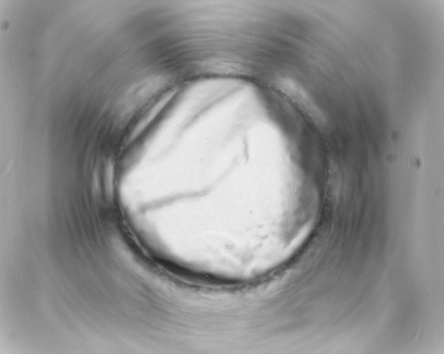 X0000088130014200705291344