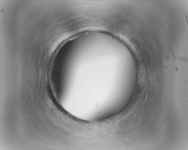 X0000088130015200705291344