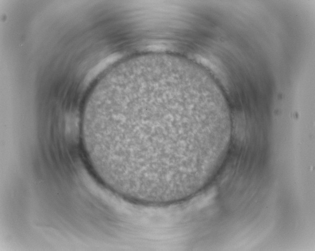 X0000088130016200705291344