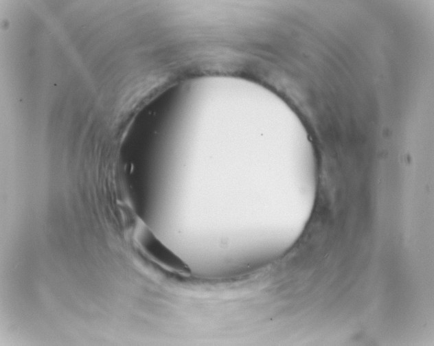 X0000088130017200705291344