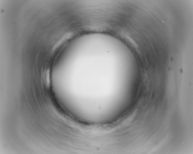 X0000088130020200705291344